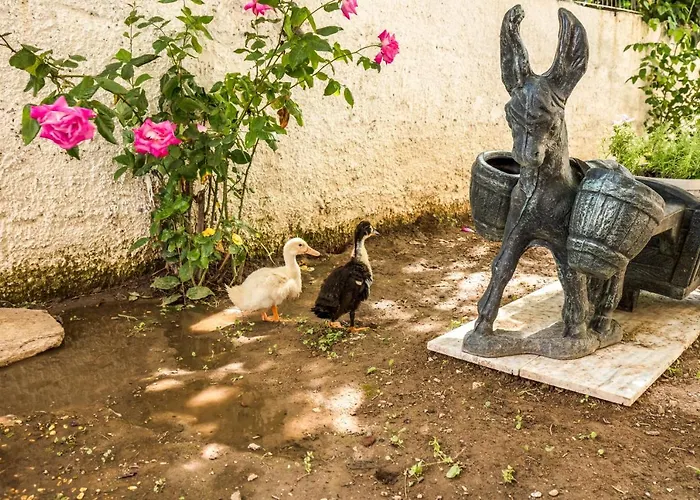 Aurora Ξενοδοχείο με διαμερίσματα