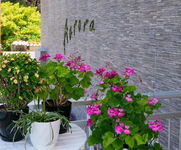 Aurora 3* Ποτός