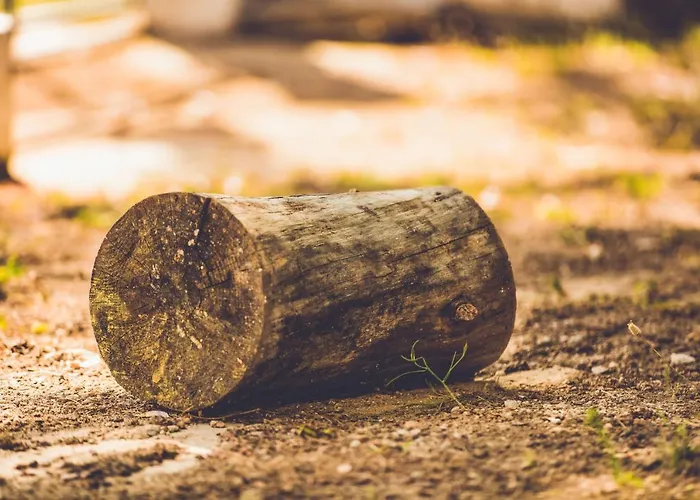 Aurora 아파트호텔 3*